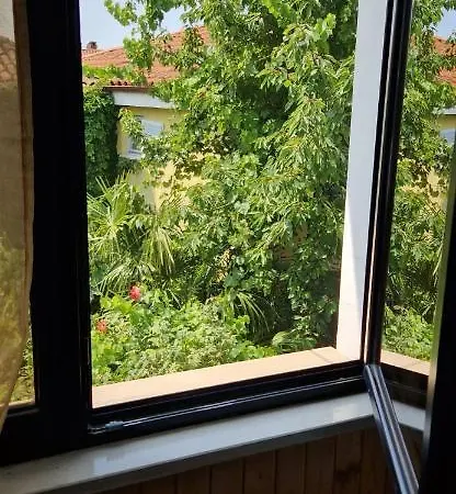 Tomario * בפורטורוז